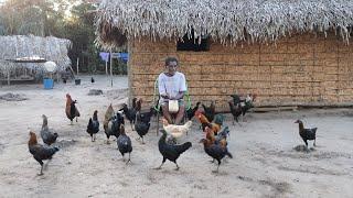 O AMANECER E O CAFÉ DA MANHÃ NA ZONA RURAL DO MARANHÃO