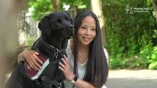 An introduction to Hearing Dogs for Deaf People