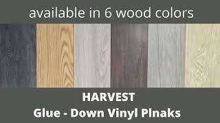 Harvest Glue Down Vinyl Plank by Southwind. 3mm thick with 20 mil wear layer | V - groove edges