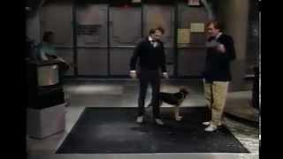 Stupid Pet Tricks - Two Creative Dogs
