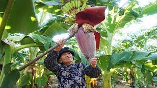 香蕉花還能這樣吃？很多人見過，但沒吃過的農村特色菜Guangxi grandma uses banana flowers to make Chinese food ｜广西 美食｜ 玉林阿婆