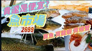 [2023澳洲旅遊] Sydney去哪玩? #雪梨必吃 悉尼必吃  虎蝦超Q彈！ #沒有魚腥味的魚市場 漁港買魚比較便宜嗎？