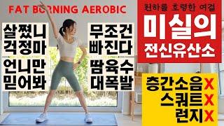 탄수화물 폭식으로부터 너의 체중을 지켜줄 역대급 미실의 전신유산소 / NO JUMP, SQUAT, LUNGE FAT BURNING AEROBIC WORKOUT