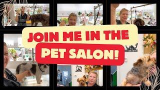 Join me in the pet salon!