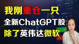 美股 除了英伟达微软，我刚重仓一只全新ChatGPT股，为什么中国造不出ChatGPT? nvda amd net msft goog googl