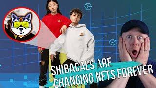 Shibacals Are Going To Send NFTs To The Moon 