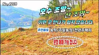 (분할 매매 가능)호수 전망이 좋은 전원주택지 산 위 주말농장 농막 체류형쉼터 공주부동산 토지매매 ~싼집 싼땅 급매물 행운집땅부동산tv