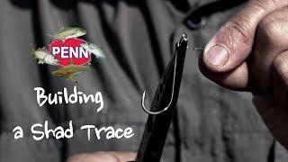 Building a shad trace