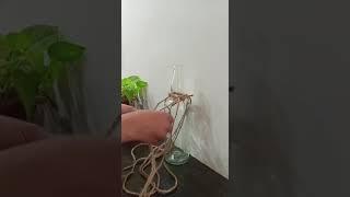 Hanging bottle DIY Macrame Art #creativeedge #designexam2023 #designing