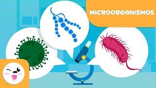 ¿Qué son los Microorganismos? - Las bacterias, los virus y los hongos para niños