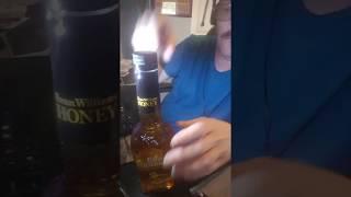 My 1st shot of Evan Williams Honey Reserve Liqueur