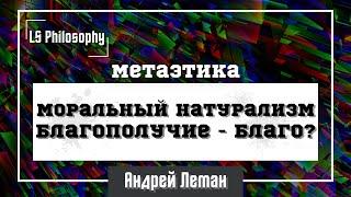 Моральный натурализм в метаэтике | Андрей Леман