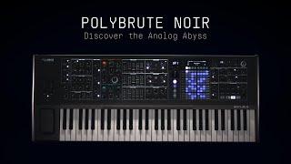 PolyBrute Noir | Stealth morphing polysynth | ARTURIA