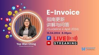 【E-Invoice 指南更新讲解与问答】