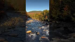 Beautiful Autumn colors  at a river in New Hampshire’s White Mountains Franconia Notch State Park