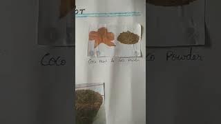 Making Biodegradable Pot chart | SV Studies.