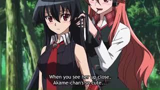 {ASMV} akame ga kill ; [Chelsea] ; you're gonna go far kid