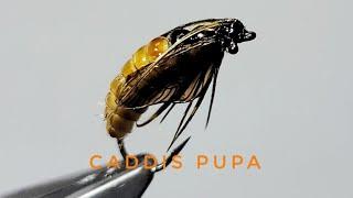 The Ultimate October Caddis Pupa Fly Tying Tutorial