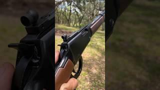 Henry .22 Magnum Small Game Carbine #hunting #shooting #shorts #viral #outdoors #america