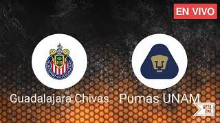 Chivas de Guadalajara vs Pumas UNAM | 2024 Liga MX - Apertura - Juego Completo