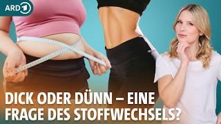 Abnehmen: Ernährung nach Stoffwechseltyp und Stoffwechsel anregen | Dr. Julia Fischer | ARD Gesund