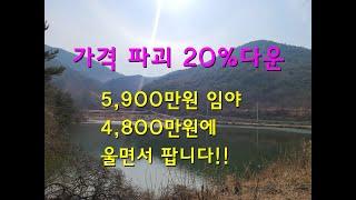 경북 영양군에서 가장 싼 임야 가격1,100만원 낮추어 울면서 팝니다!!