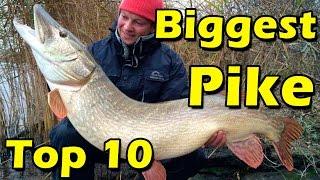 Biggest pike ever caught in the world top 10