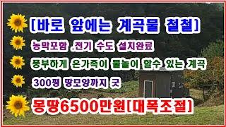 [농막포함] 땅 300평 도로완벽 계곡물철철[물놀이가능] 농막포함 너무 착한매도 몽땅6500만원