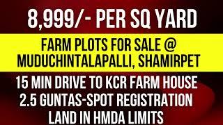 Gated Community farm land plots for sale in Shamirpet,  #farmlandplots #farmhouse #farmlandORR #plot