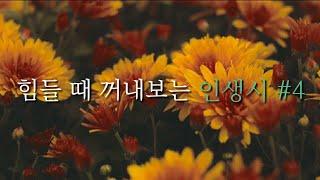 힘들 때 꺼내보는 인생시 #4 (가장 빛나는 별은 아직 발견되지 않은 별)