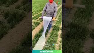 DIY Farm Sprinkler with a PLASTIC BAG?!  Genius or Just Lazy?  #farminglife  #funny #budget