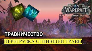 ПЕРЕГРУЗКА СГНИВШЕЙ ТРАВЫ | ТРАВНИЧЕСТВО | World of Warcraft Dragonflight