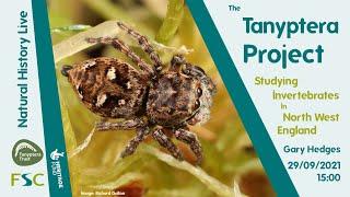 The Tanyptera Project