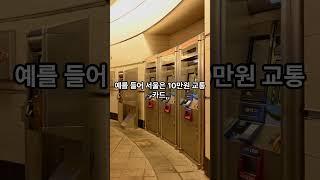 어르신 운전면허 반납하면 받는 특별 혜택 #시니어