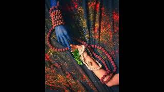 Shiv Parvati full screen HD WhatsApp status video, Mahadev mhakal WhatsApp status video