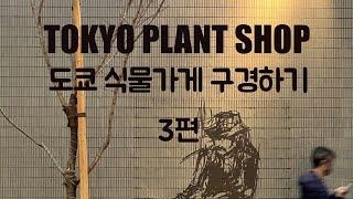 도쿄 식물가게 구경 3편 [ Tokyo Plant Shop Tour 3 ]