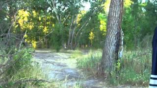 Riverpark Disc Golf Course Back 9.mp4