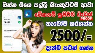 08.00 USD  Earn Withdraw Proof | Rapid Workers Payment Proof Sinhala | Rapid Workers Sinhala