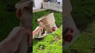 How To Re-Seed A Clover Lawn (After Planting)  #cloverlawn #clover #landscaping #diy #diylandscapin