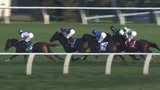 The 2024 Woodbine Mile (G1) Won By Win For The Money | Full Replay