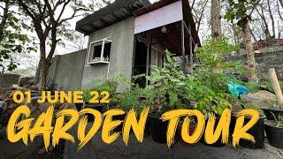 Our First Garden Tour // 4K