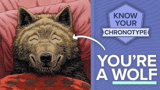 Wolf chronotypes NEED to stop making this same mistake