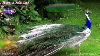 8652618236 vishundev Kumar Mukhiya