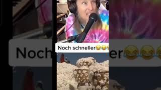 KING THOMAS Noch schneller arbeiten 1 STUNDE Version