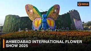 Ahmedabad International Flower Show 2025 | DD India