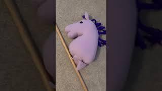 handmade hobby horse for my little cousin!!