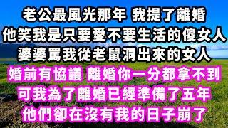 老公最風光那年我提了離婚，他笑我是只要愛不要生活的傻女人，婆婆罵我從老鼠洞出來的女人，婚前有協議，離婚你一分都拿不到，可我為了離婚已經準備了五年，他們卻在沒有我的日子崩了#追妻火葬場#大女主#現實情感