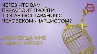 Расставание с человеком-нарциссом: Когда мне станет легче или через что мне придется пройти?