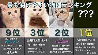 【決定版】最も飼いやすい猫種ランキングTOP10