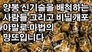 양봉 신기술을 배척하는 사람들 그리고 비닐개포야말로 마법의 망또입니다